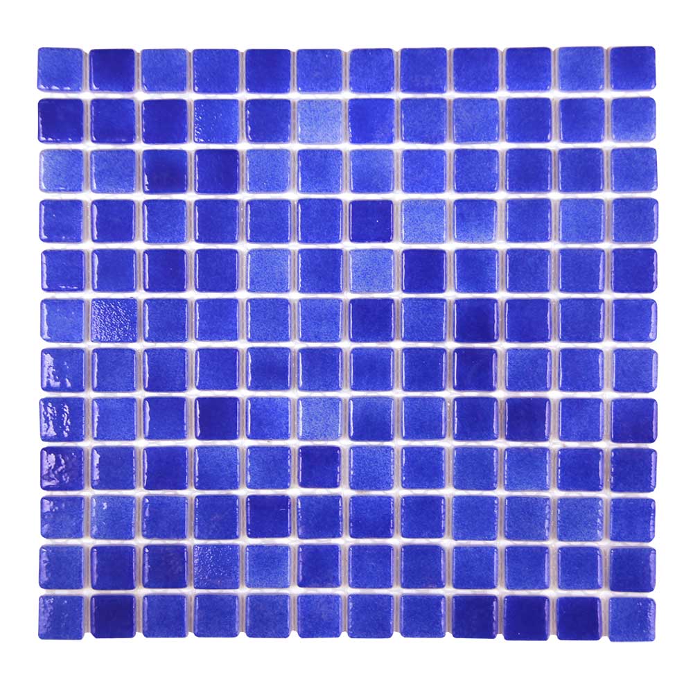 tortuga-dixie-blue